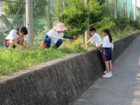 IMG_2096hp