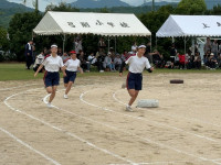 IMG_6329