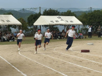 IMG_1528