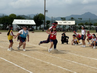 IMG_1589